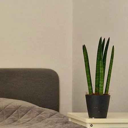 Large Cozy With Balcony And Kitchen At Pasing * Munich