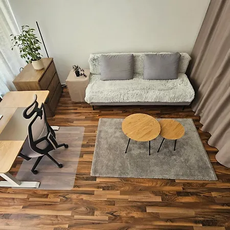 Large Cozy With Balcony And Kitchen At Pasing Apartament Monachium