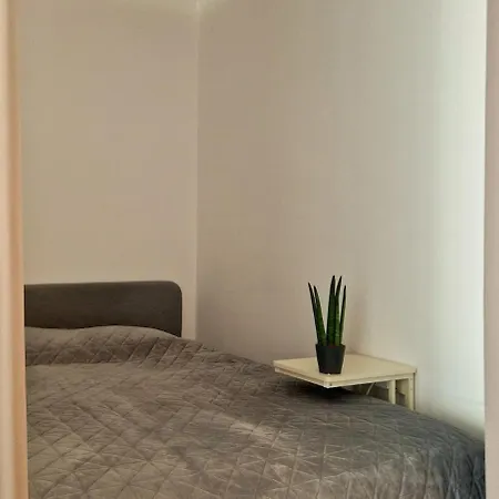 Large Cozy With Balcony And Kitchen At Pasing Appartement
